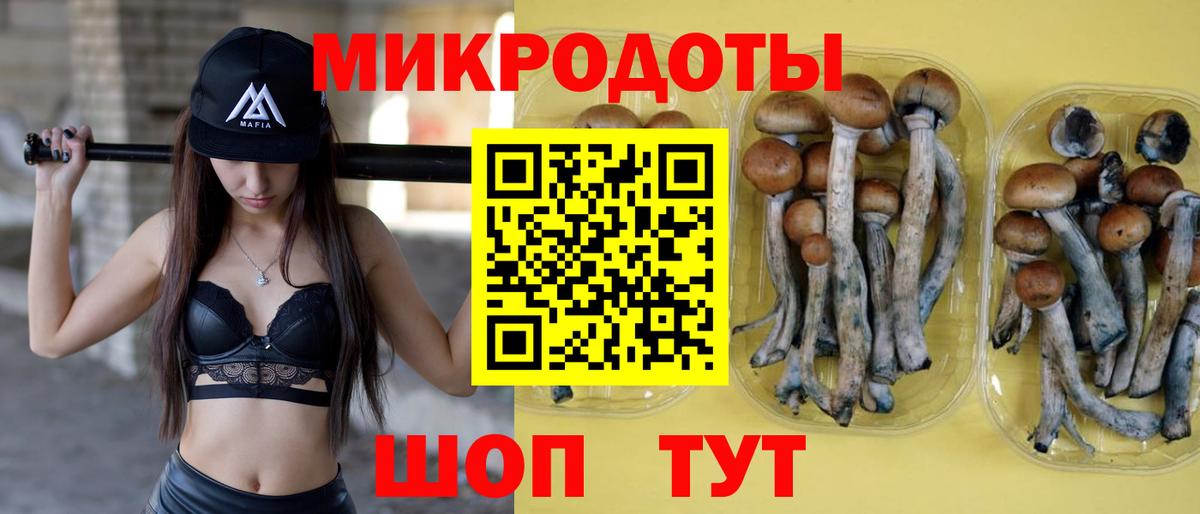 Псилоцибиновые грибы Cubensis  Псилоцибиновые грибы Magic Shrooms  купить закладку  Нефтекамск  Вход с VPN 